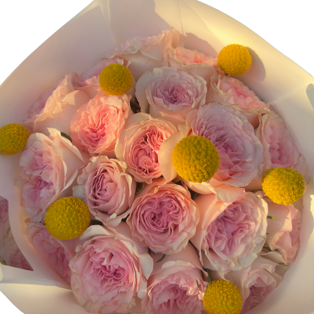 Las rosas favoritas de mamá
