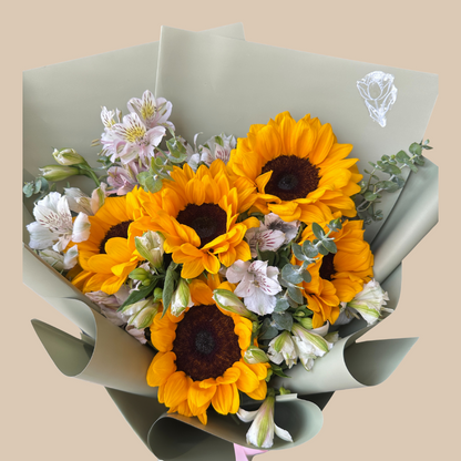 girasoles